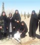 کاشت نهال توسط جمعی از پرسنل مرکز بهداشت