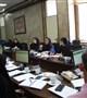 جلسه بررسی فرم های آماری شیرمادر و مشکلات مرکز مشاوره شیردهی در سامانه سیب