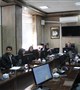 کمیته برون بخشی لیشمانیوز جلدی مرکز بهداشت شهرستان کرمان تشکیل شد