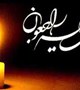 پیام تسلیت رئیس مرکز بهداشت شهرستان کرمان در پی در گذشت دکتر فرزاد ناصری